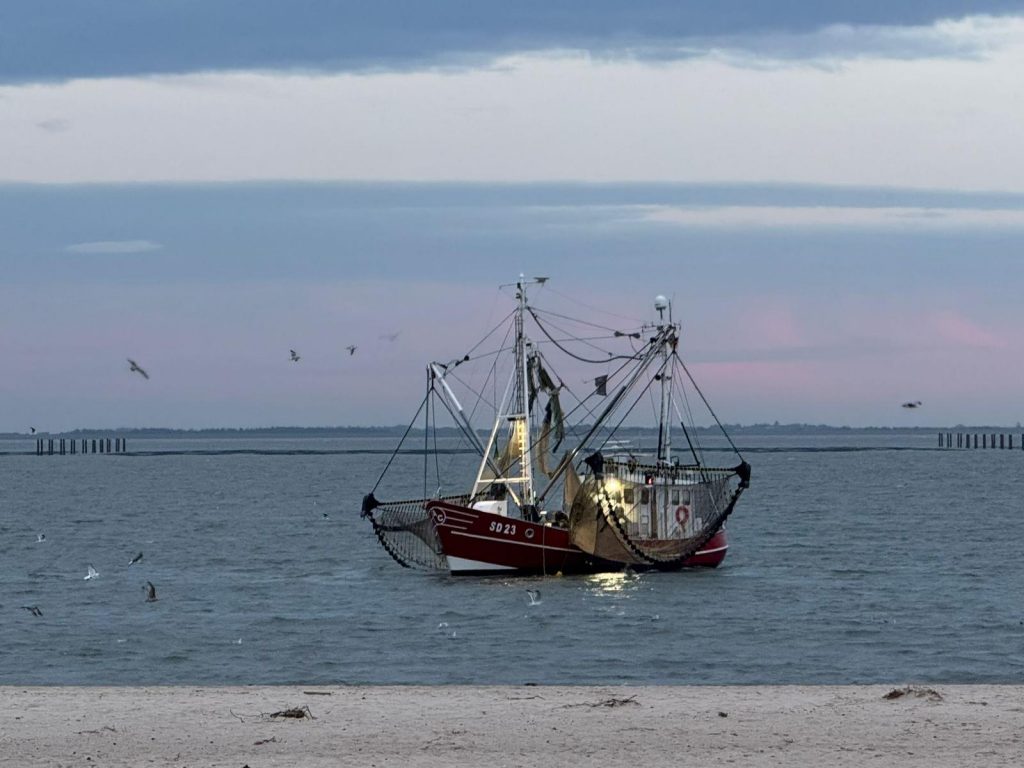 1012442-bild-47-084349