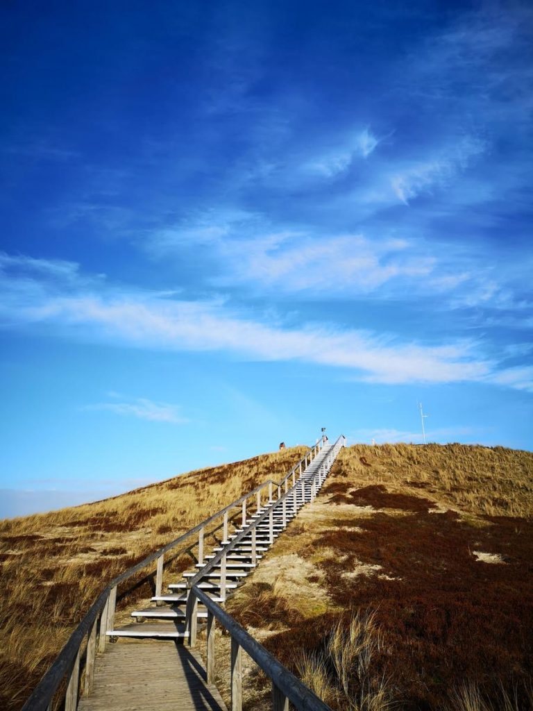 1022820-bild-26-135117