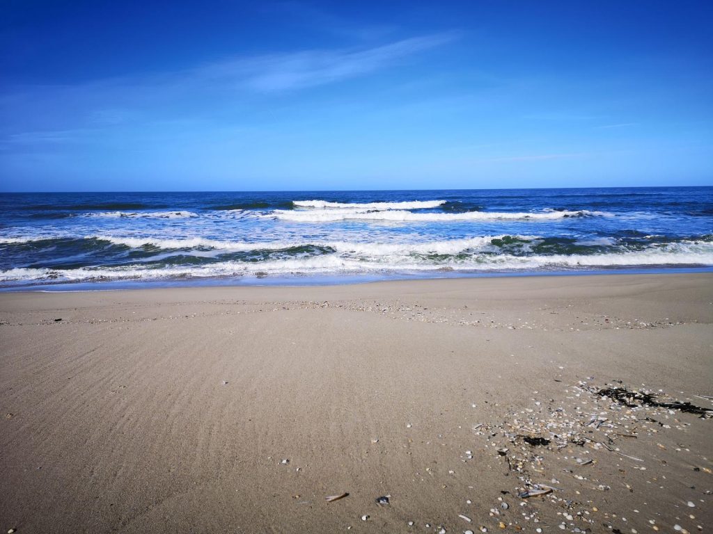 1022820-bild-28-135150